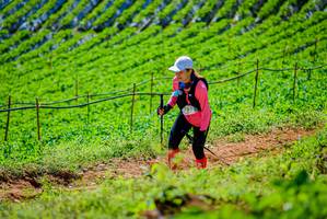 BIB: 
                            <button type="button" onclick="openModal(19163293)" class="btn btn-primary btn-sm float-right btn-popup" data-toggle="modal" data-target=".modal-high-quality">
                        <i class="fas fa-shopping-cart"></i> Add to Cart
                    </button>
                                            <button type="button" onclick="isThisMe(19163293, true)" class="btn btn-success btn-sm float-right btn-popup btn-isme hidden" data-toggle="tooltip" data-placement="bottom" title="นี่คือรูปของคุณใช่ไหม คลิกที่นี่เพื่อเอาเข้าอัลบั้ม">
                        <i class="fas fa-plus"></i> Add to album
                    </button>
                    <button type="button" onclick="isThisMe(19163293, false)" class="btn btn-warning btn-sm float-right btn-popup btn-isnotme hidden">
                        <i class="fas fa-ban"></i> Remove from album
                    </button>